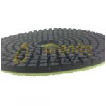 Schein Pads disk Geometry