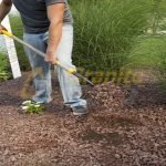 Long-Handle Transfer Shovel - Imagen Gallery 2