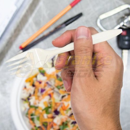 Dart Plastic Forks Spoons & Knifes - Imagen Gallery 2