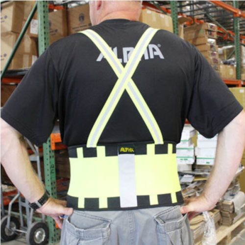 Alpha Lumbar Support Belt - Imagen Gallery 2